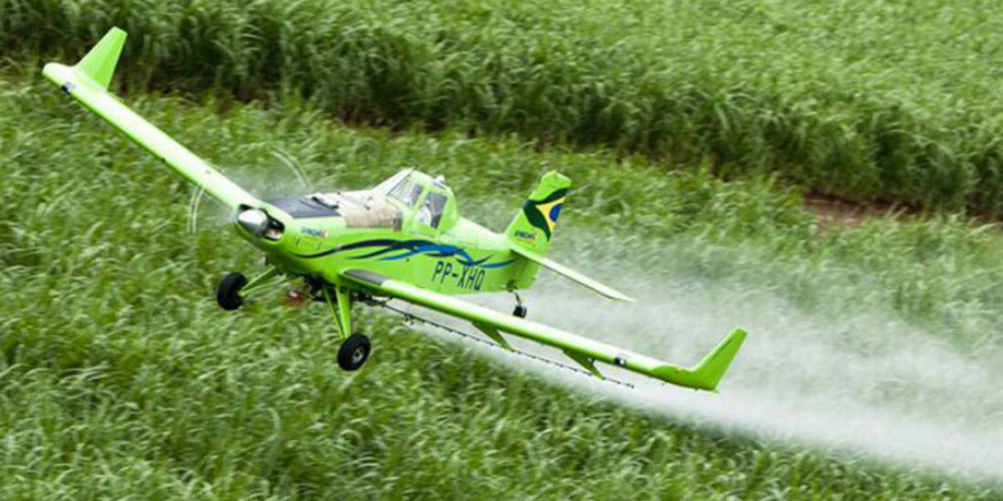 STF mantém lei do Ceará que proibiu pulverização aérea de agrotóxicos