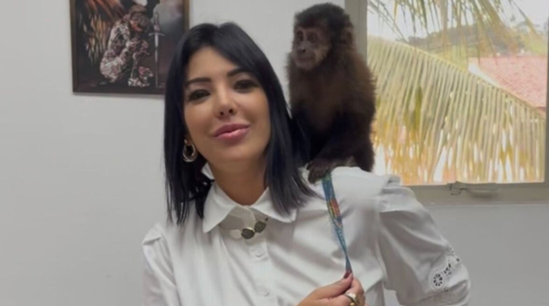Delegada Regina Campanelli resgata macaco-prego que aparentava ser domesticado