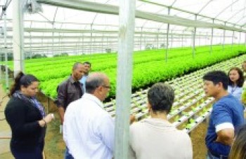 Alagoanos visitam produção suzanense