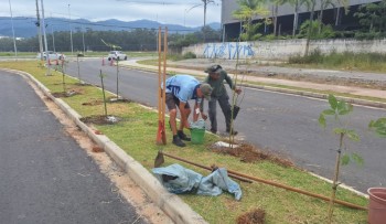 Plano de Arborização Urbana inicia plantio de mudas no Corredor Nordeste