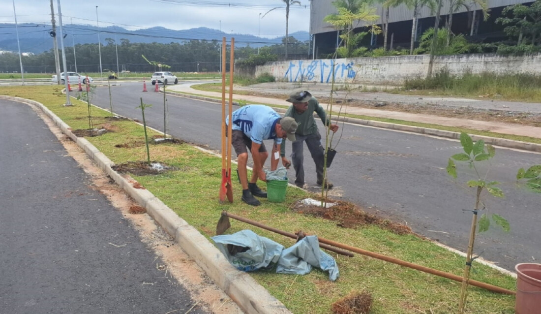 Plano de Arborização Urbana inicia plantio de mudas no Corredor Nordeste
