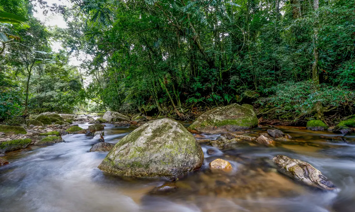 Plano busca fortalecer Sistema Nacional do Meio Ambiente até 2036