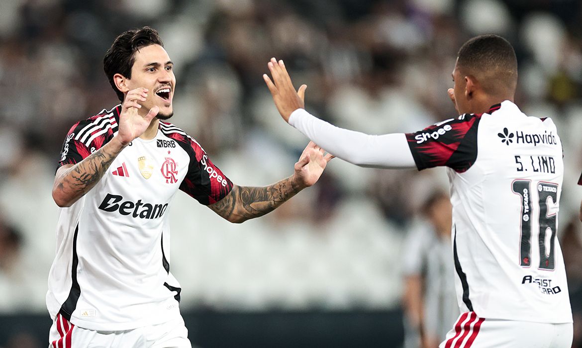 Brasileirão: Flamengo vence e mantém Botafogo na zona de rebaixamento