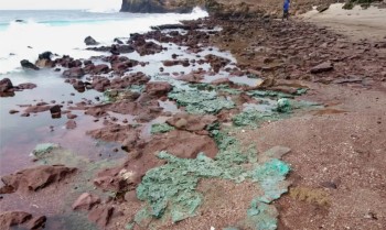 Rochas de plástico chegam a ninhos de tartarugas em ilha brasileira