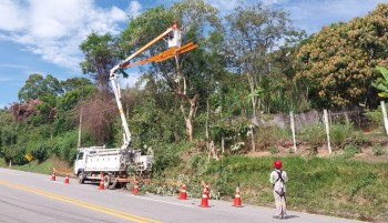 Poda da vegetação beneficiam mais de 12 mil clientes da EDP em Salesópolis  