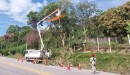 Poda da vegetação beneficiam mais de 12 mil clientes da EDP em Salesópolis  