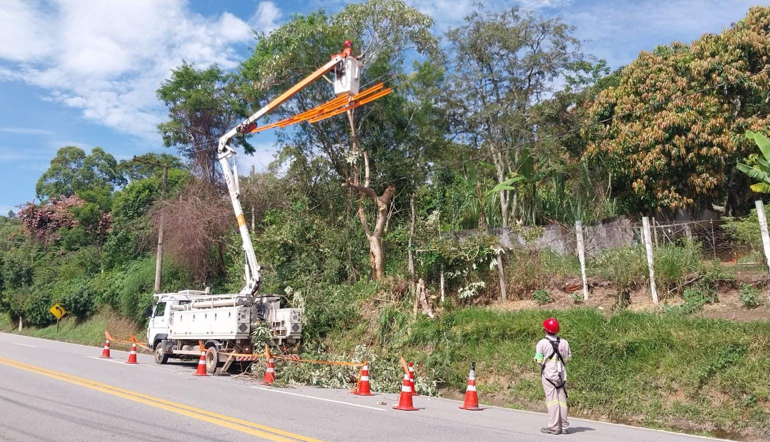 Poda da vegetação beneficiam mais de 12 mil clientes da EDP em Salesópolis  