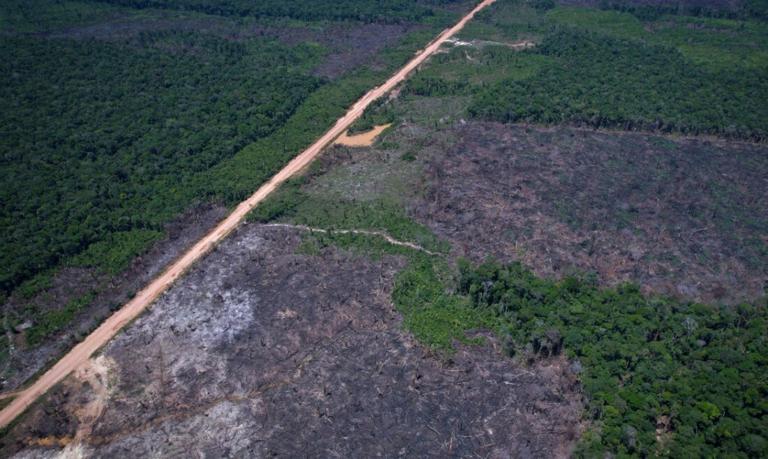 Entidades criticam urgência de projeto sobre crimes ambientais