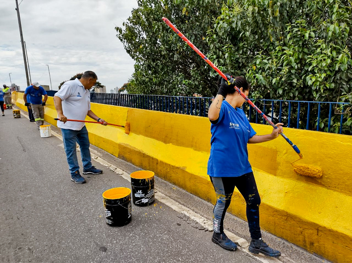Viaduto Ryu Mizuno será interditado para trabalhos de revitalização