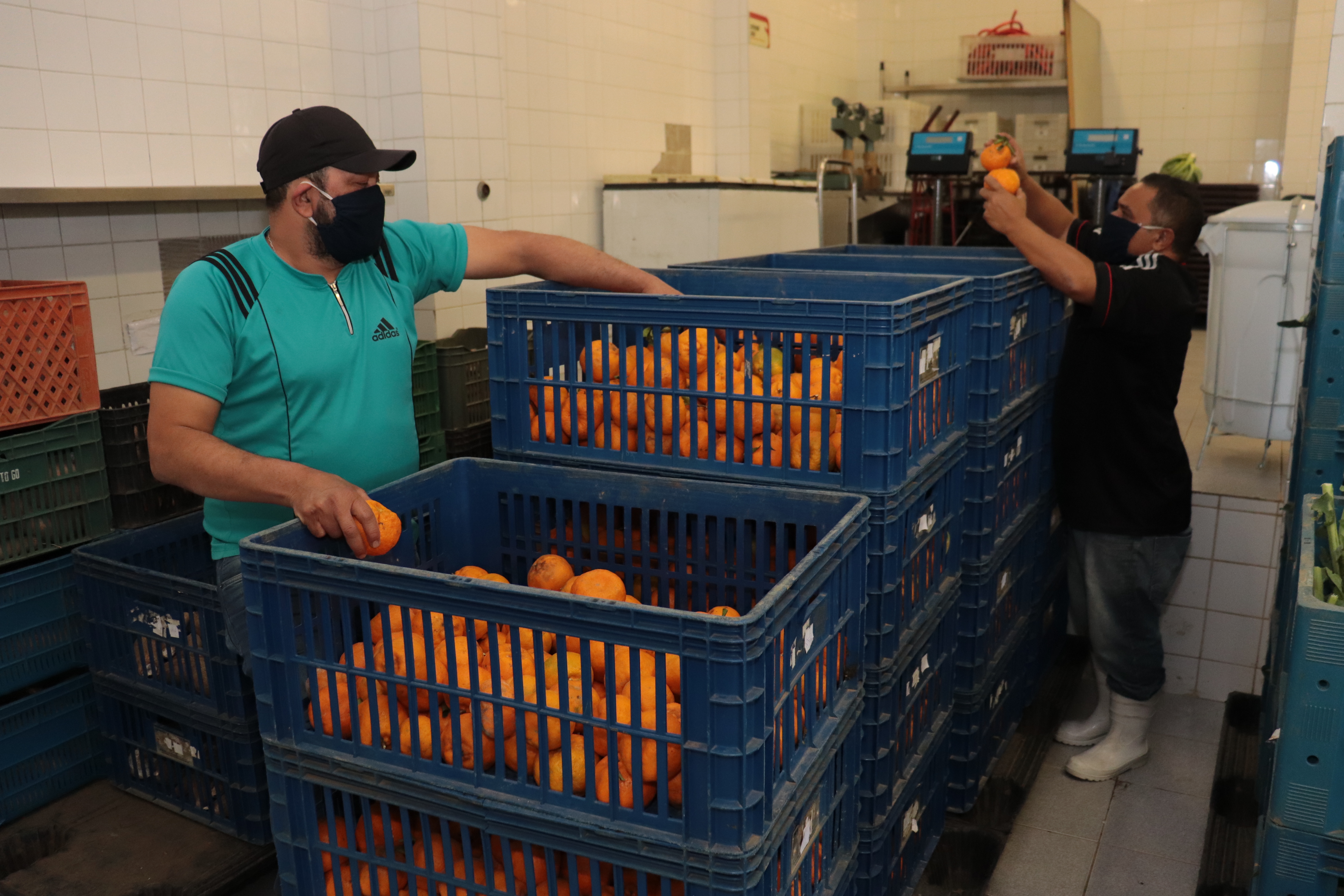 Suzano recebe capacitação sobre boas práticas agrícolas e uso eficiente da água