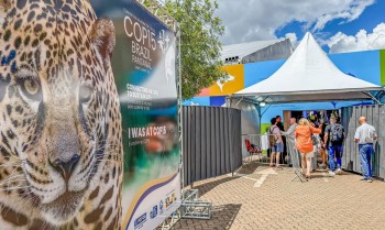 Conheça mais sobre a convenção para proteger espécies migratórias