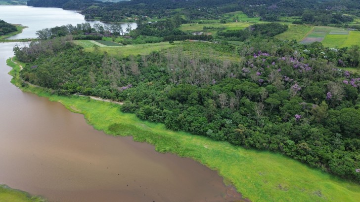 Refloresta-SP conclui a restauração de 17,5 hectares em Mogi e Santa Branca