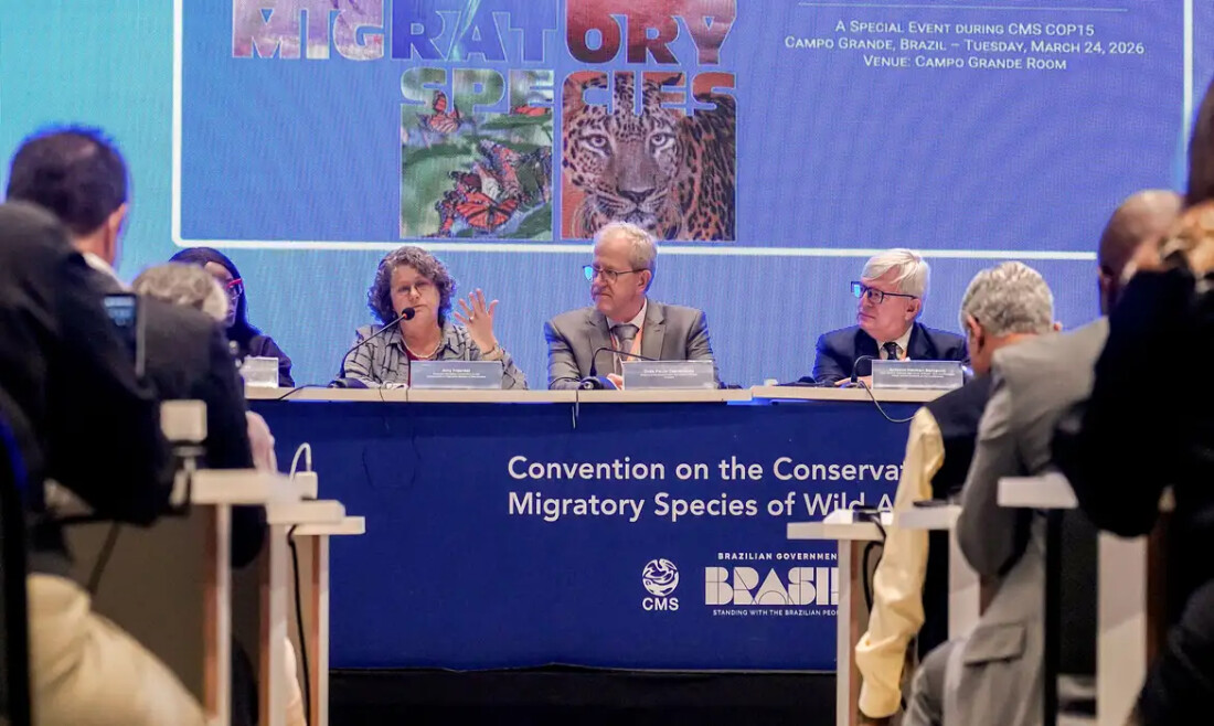 Bonito vai sediar a primeira vara ambiental com foco no Pantanal