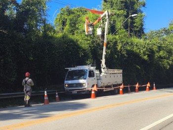 EDP realiza mutirão de podas de árvores e modernização da rede elétrica