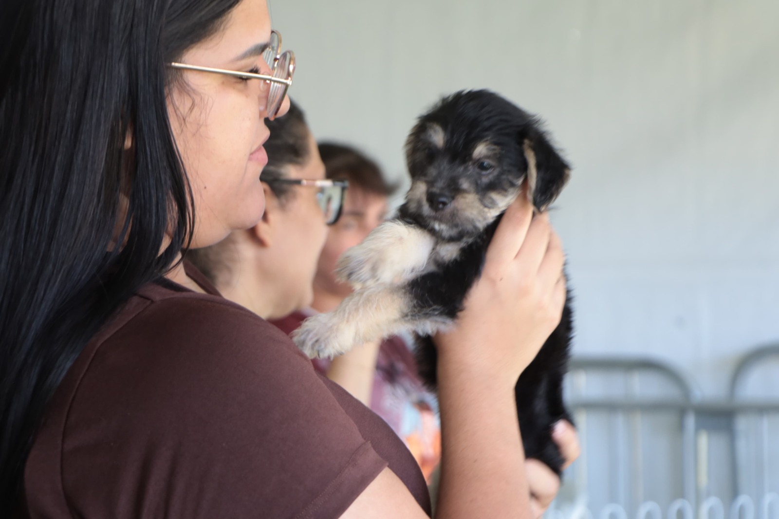 ‘Baby, me Leva!’ viabiliza a adoção de 32 pets no Parque Max Feffer