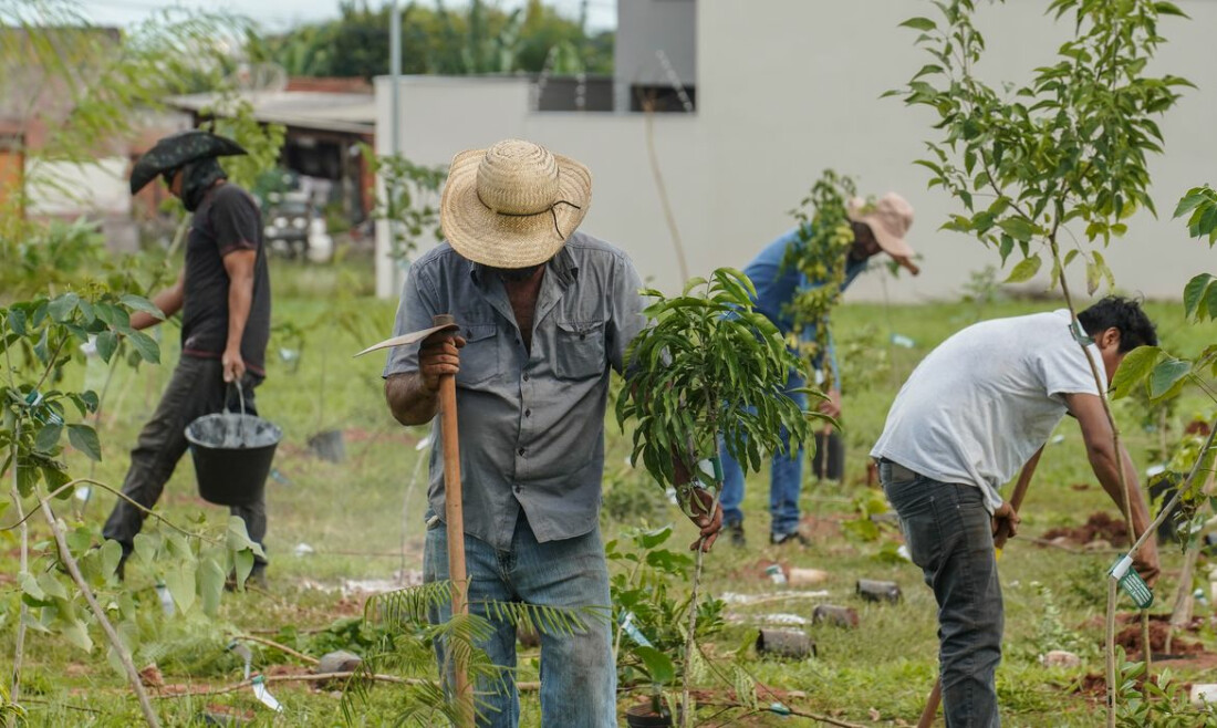 BB vai compensar emissões da COP15 no Brasil
