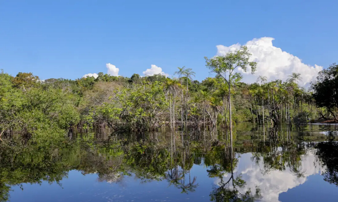 Tesouro muda regras de leilão para projetos sustentáveis