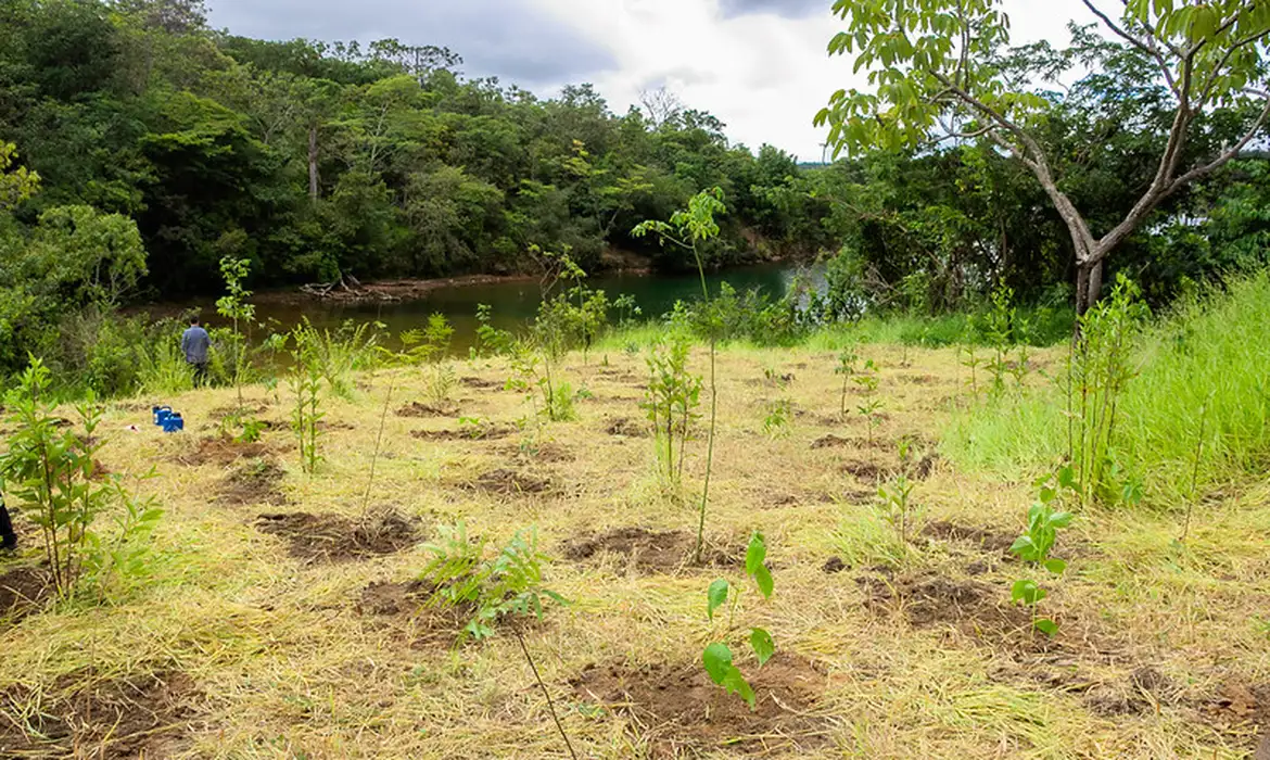 Parque não inclui área destinada a salvar BRB, diz associação