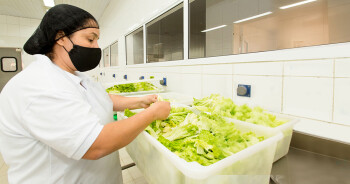 Especialistas detalham como evitar riscos de intoxicação alimentar no ambiente doméstico