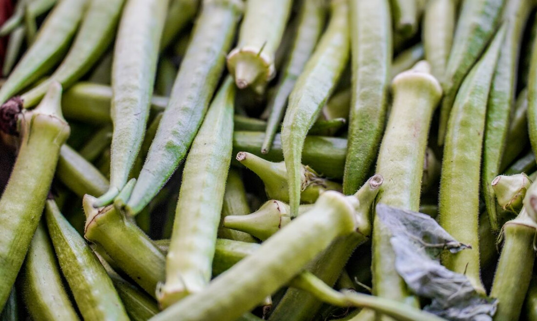 Garantia-Safra: veja lista dos que receberão pagamento em abril