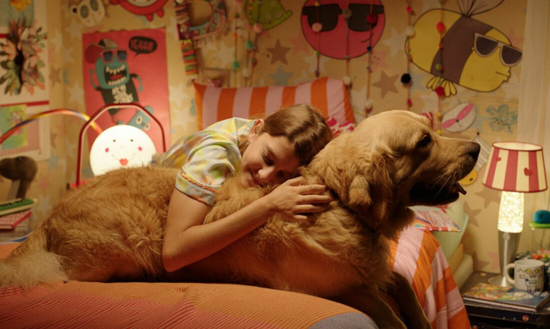 Festival de cinema BIFF 2026 divulga programação e selecionados