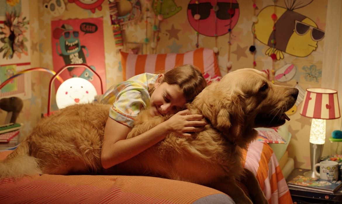 Festival de cinema BIFF 2026 divulga programação e selecionados