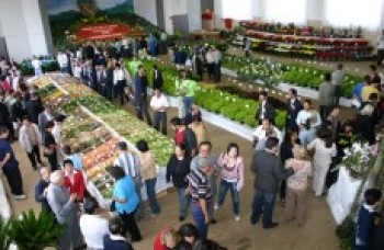 Festival agrícola hoje e amanhã no Cocuera