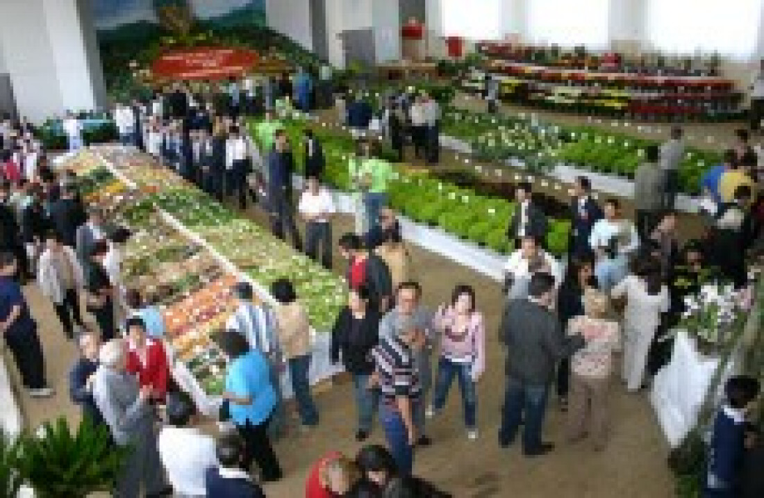 Festival agrícola hoje e amanhã no Cocuera