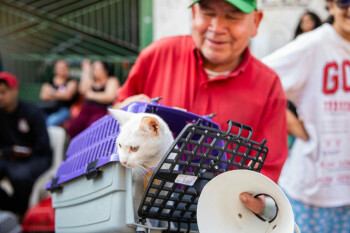 Mutirão de castração em Ferraz atenderá cerca de 600 cães e gatos