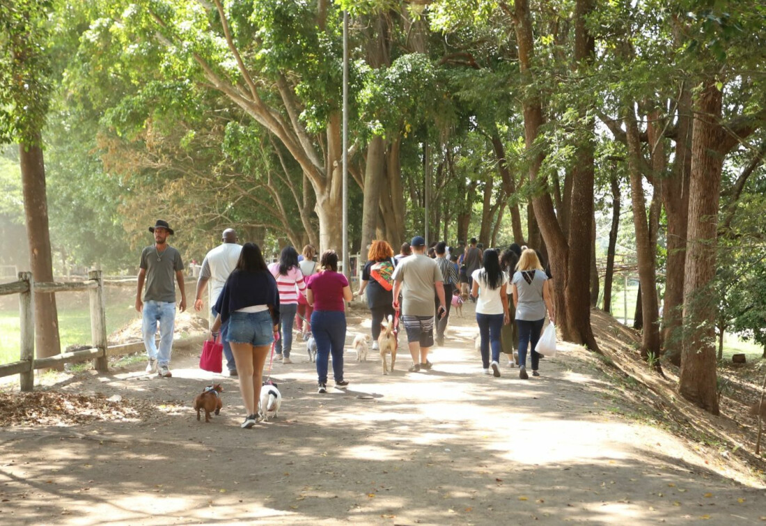 Itaquaquecetuba abre inscrições para corrida e caminhada com pets 