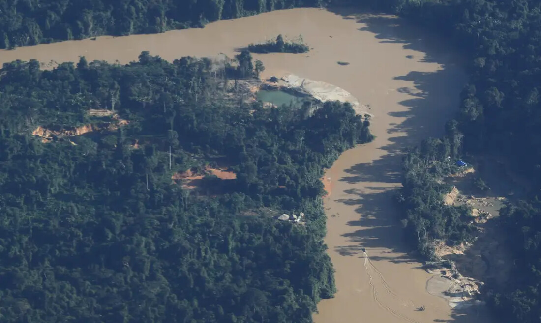MPF denuncia mineração ilegal na Amazônia à CIDH