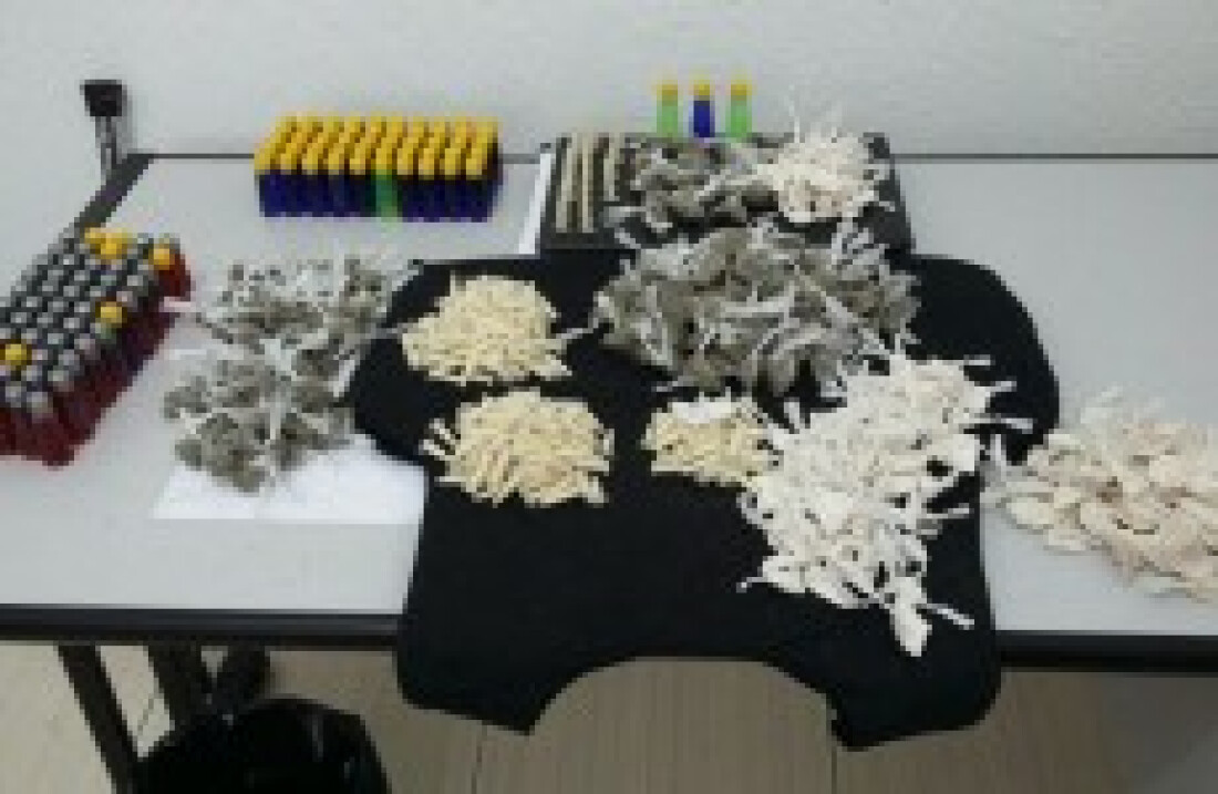 Polícia apreende drogas em Ferraz