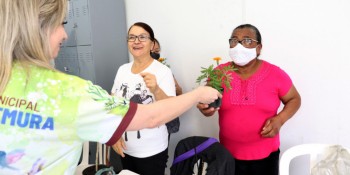 Viveiro Municipal entrega mudas para idosos