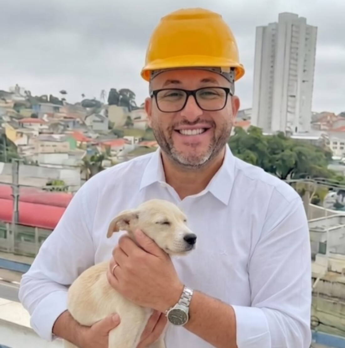 Poá realiza mutirão de castração gratuita neste final de semana