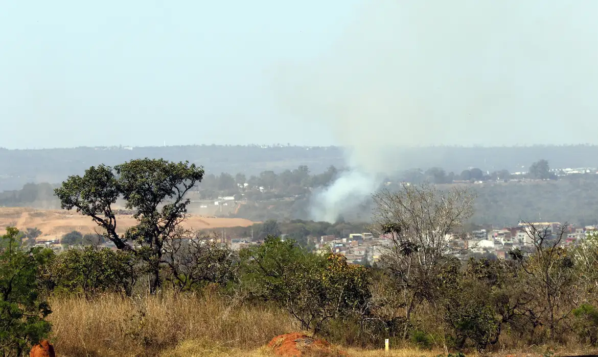 MMA lança edital para arborizar periferia ubana de pequenas cidades