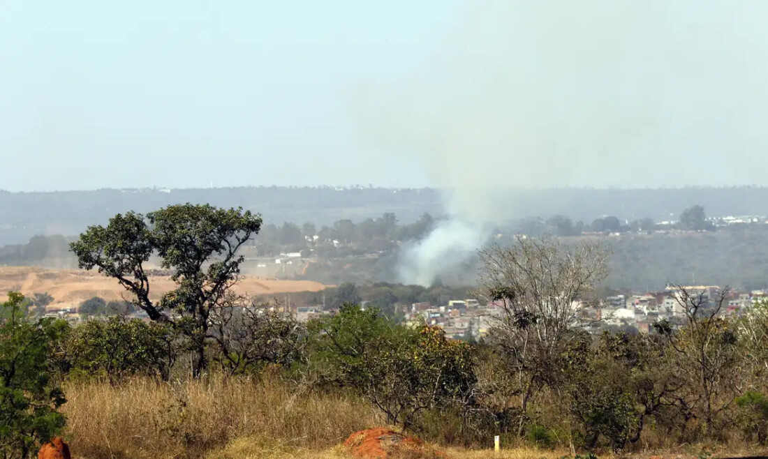 MMA lança edital para arborizar periferia ubana de pequenas cidades