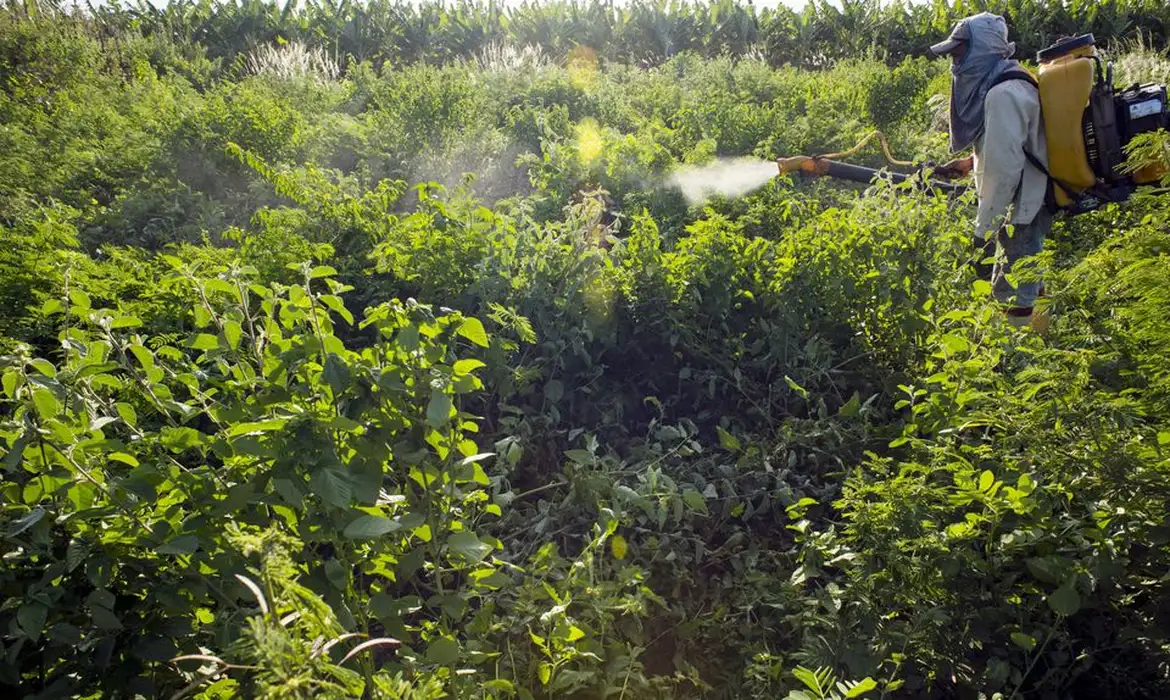 Governo vai monitorar presença de agrotóxico em bacias hidrográficas