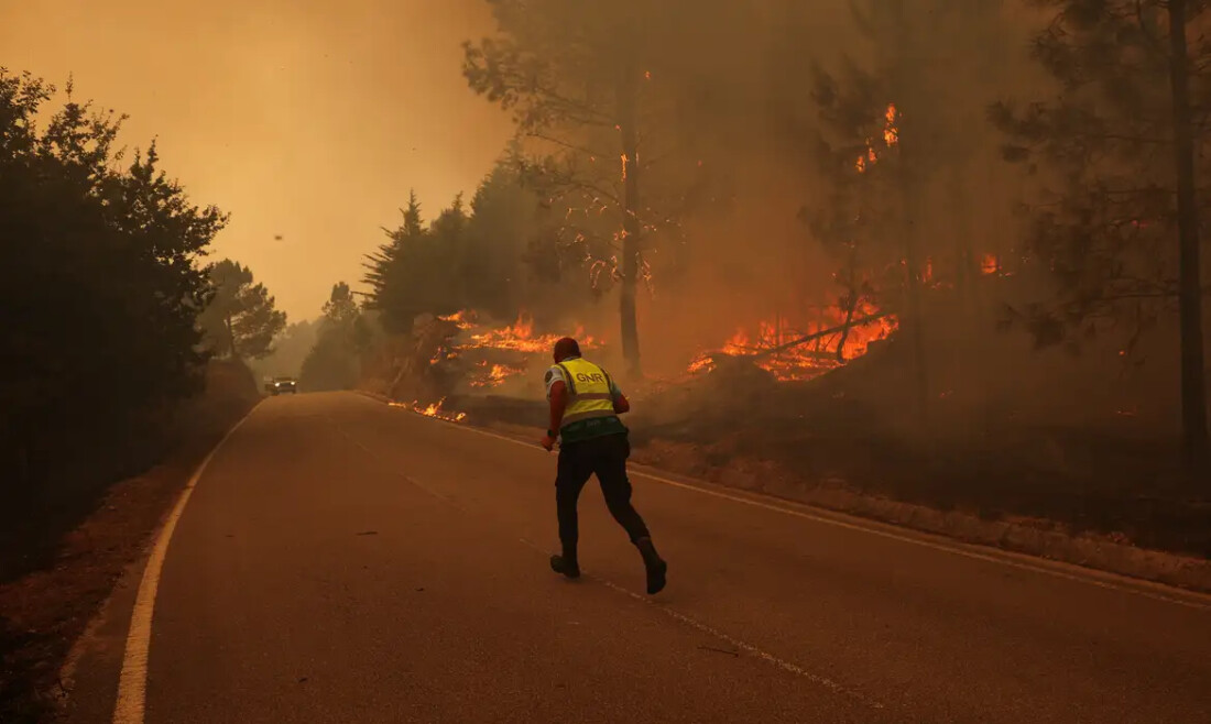 Incêndios atingem recorde e extremos de calor, dizem cientistas
