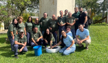 Balanço na proteção animal em Mogi destaca ações de castração e adoção