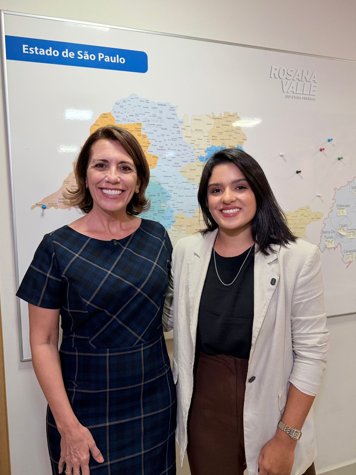 Malu Fernandes articula verba para diagnóstico e tratamento da endometriose 