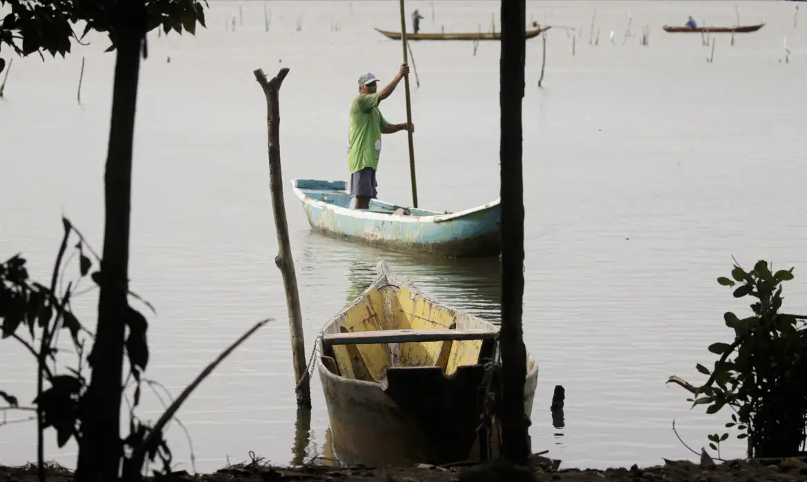 Conferências estaduais de aquicultura e pesca serão em junho e jullho