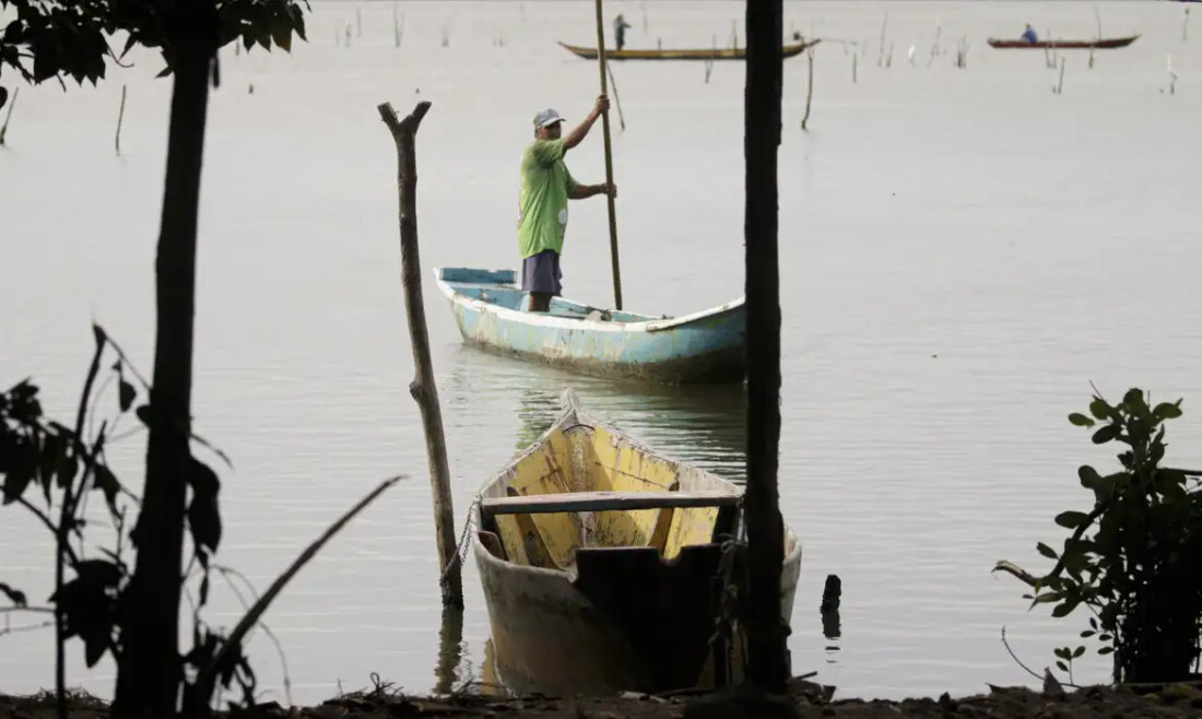 Conferências estaduais de aquicultura e pesca serão em junho e jullho
