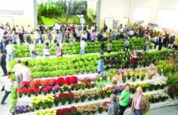 Agricultores cobram mais investimentos e incentivos