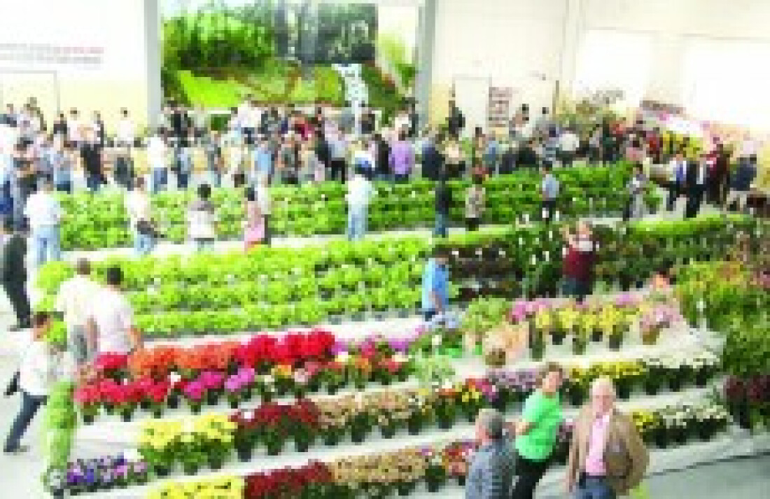 Agricultores cobram mais investimentos e incentivos