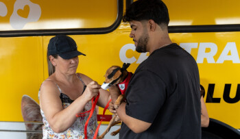 Nubea fará cadastro de cães e gatos para castração gratuita na Festa do Divino