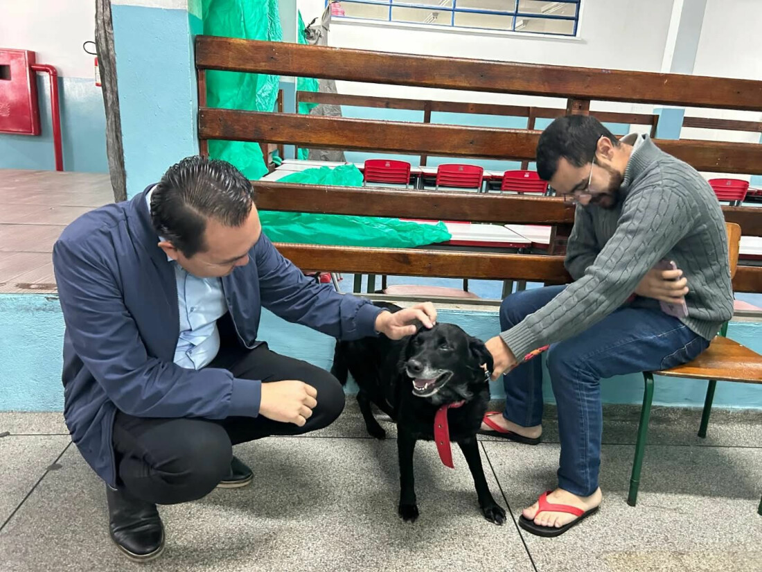 Mutirão de castração atende 180 animais durante nova edição no Jardim Europa