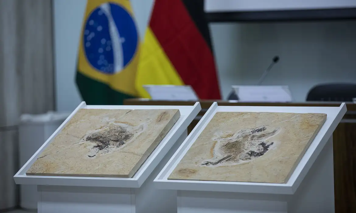 Brasil quer recuperar dinossauros e patrimônios espalhados por 14 país