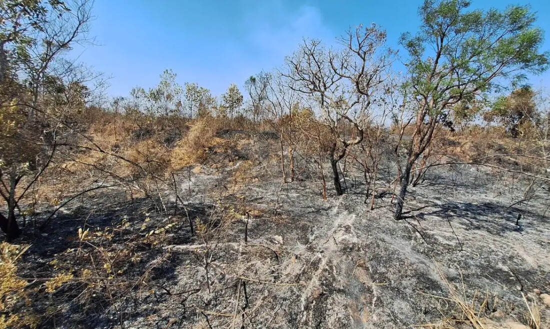 Mudanças climáticas já afetam 85% dos brasileiros, diz pesquisa