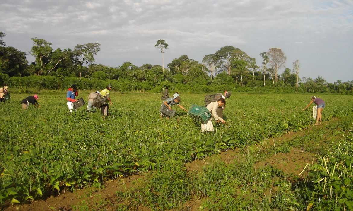 Prêmio para produção acadêmica destaca agricultura familiar