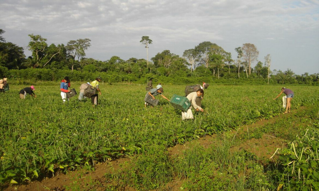 Prêmio para produção acadêmica destaca agricultura familiar